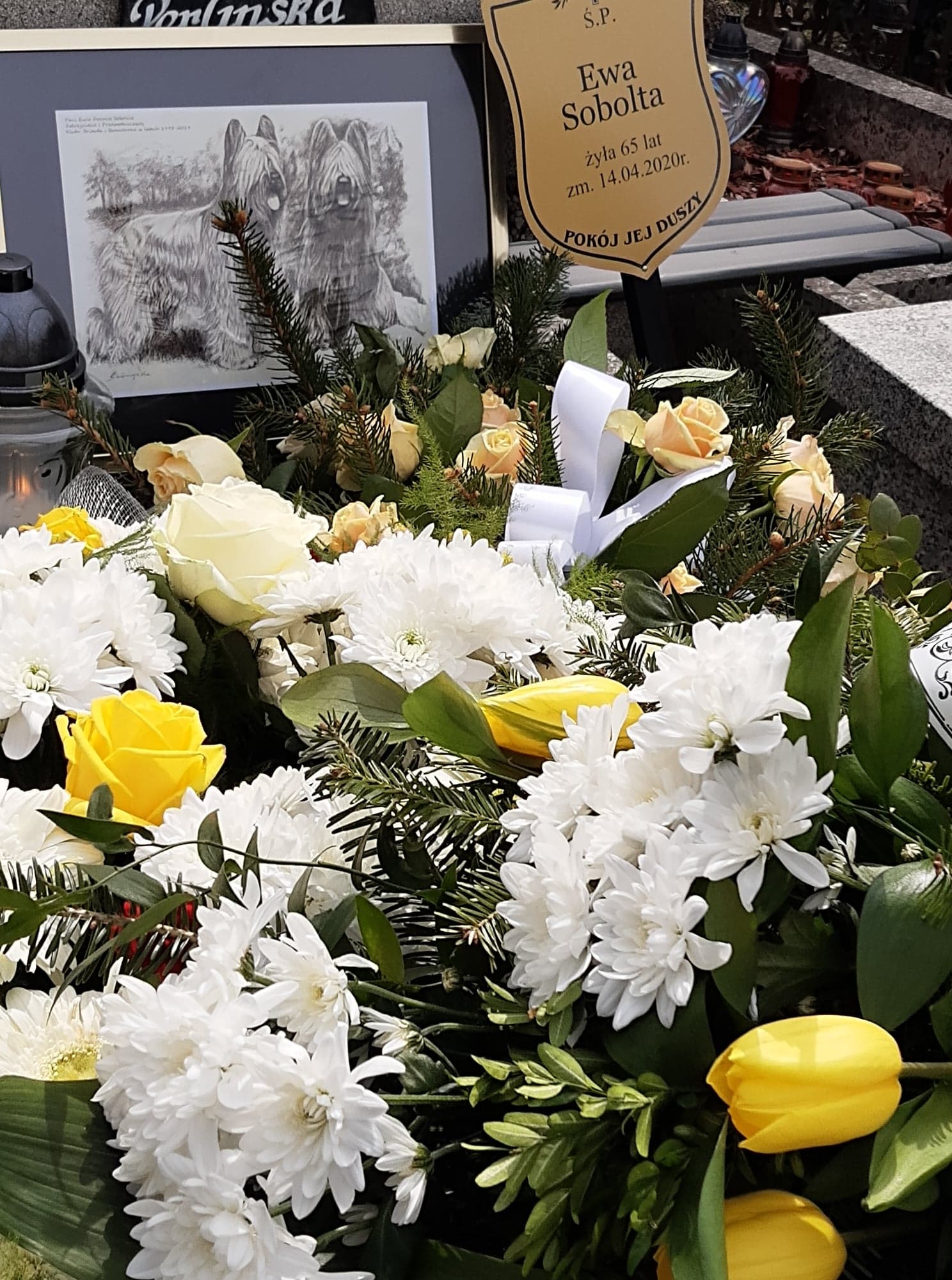 277998042 538471984317773 8670549974349841073 n