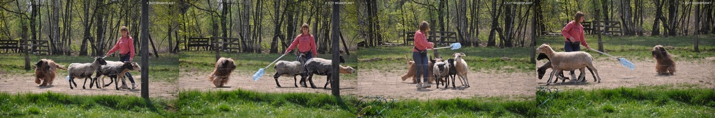 279448252 1681071052234780 6443041270336361974 n horz