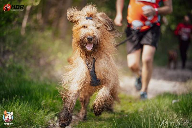 282330500 418321796869167 1995680043229430458 n