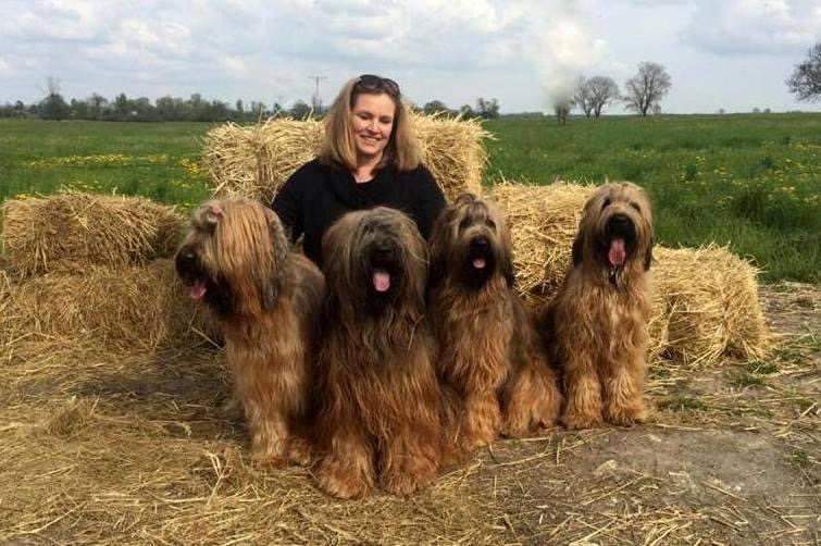 283444320 3592801370946665 3833504949519043906 n