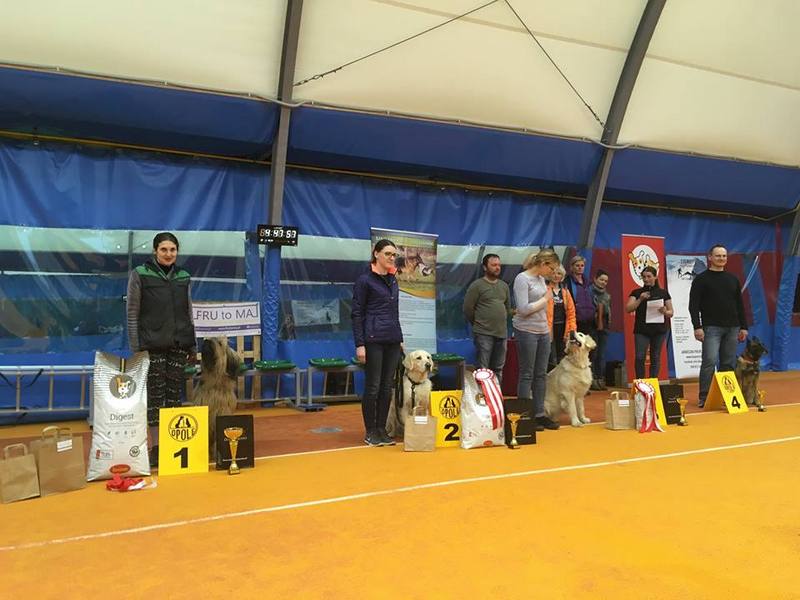 Amazing Lady Złota elita