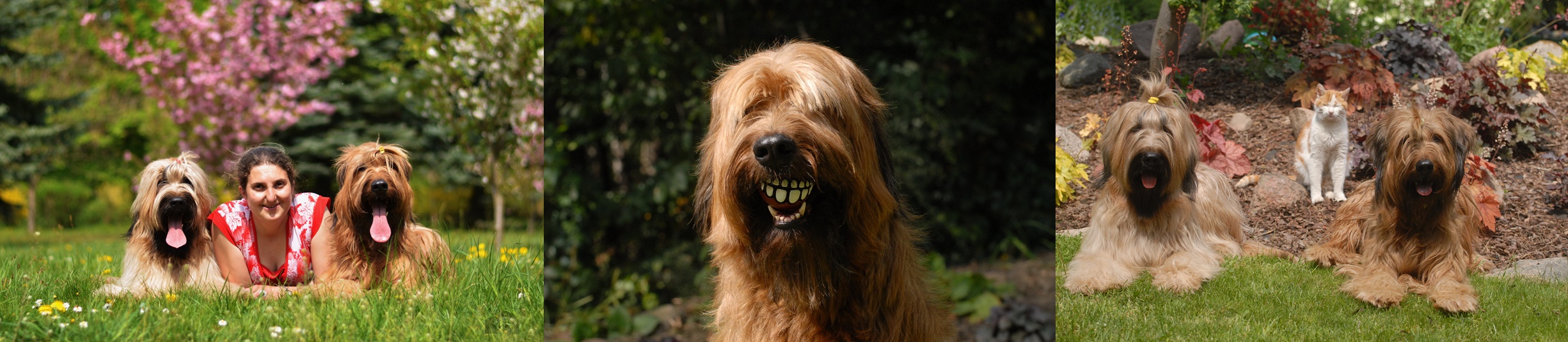 316357867 887111229323338 8983333218433711770 n horz