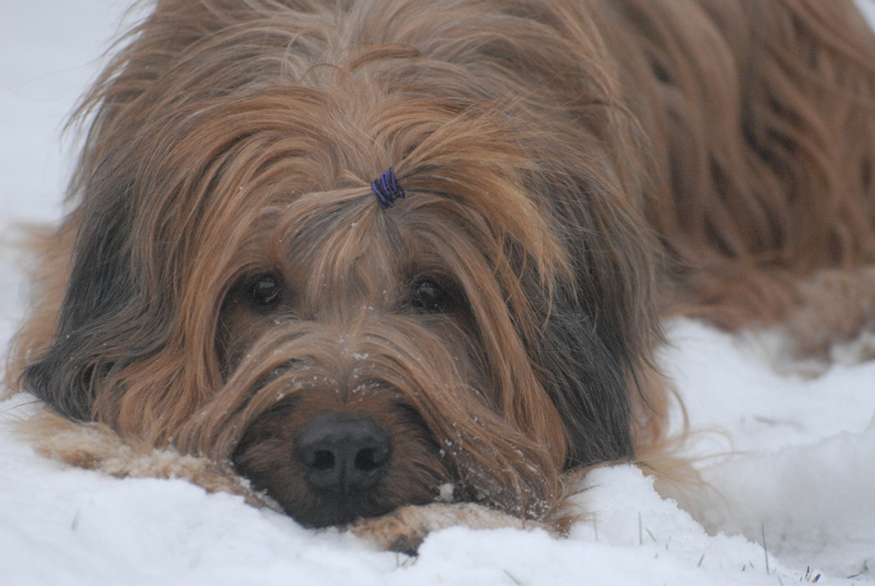 316397082 835666054153186 4622208071370963820 n