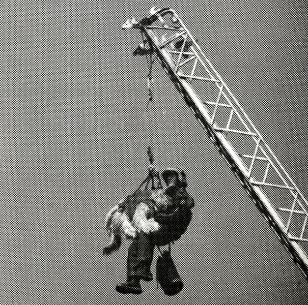 329030614 3471611069787949 8295995611378551788 n 1