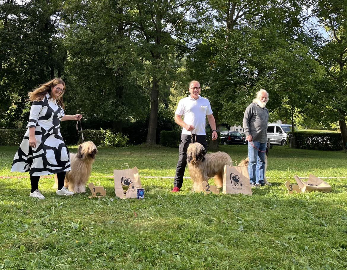 385039055 6320338584743512 7965426096984376524 n