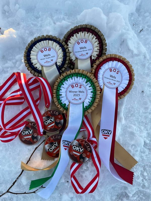 393779462 6561612630616105 6046542236180172822 n