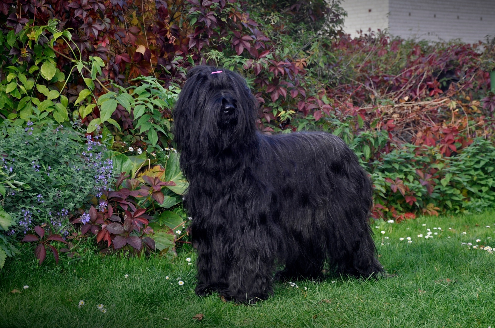 425840571 7210736859004450 5929953567129010272 n