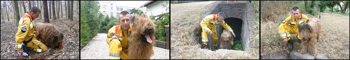 4d8b5f266d1cd o large horz