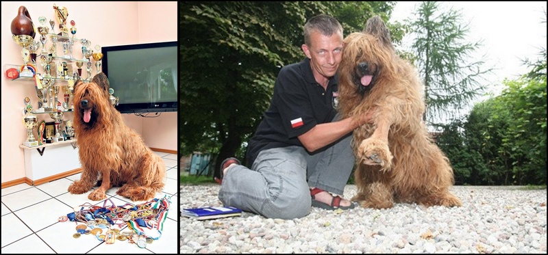 4e420da7543b0 o large horz