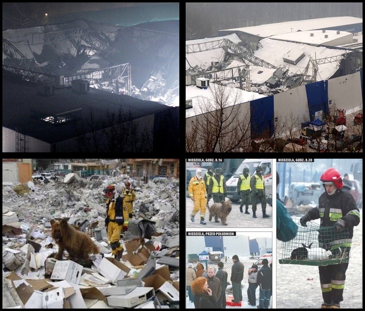 5e2f62d9f0130 o large tile