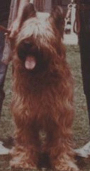 ALLOF del Bel Pastur