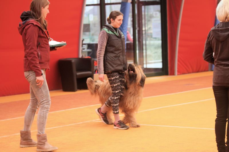 Amazing Lady złota elita