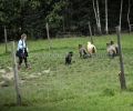 201
