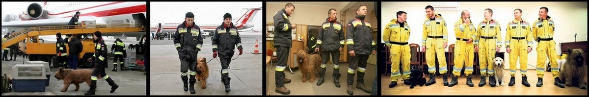 Polishurbansearchandrescueteam horz