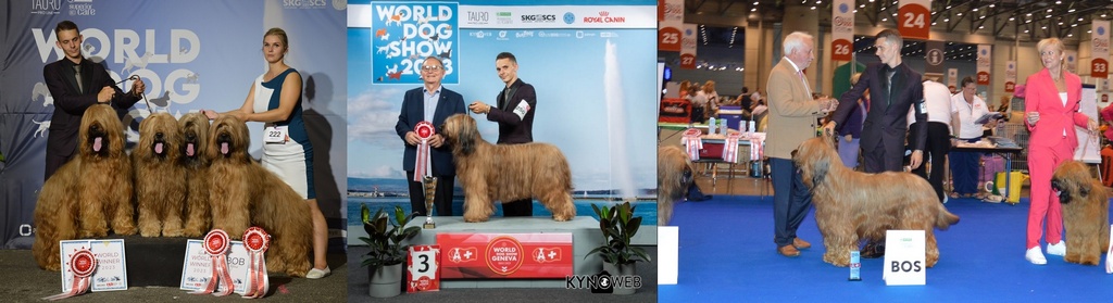 WorldDogShowGeneva