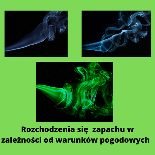 Zdjęciezapach