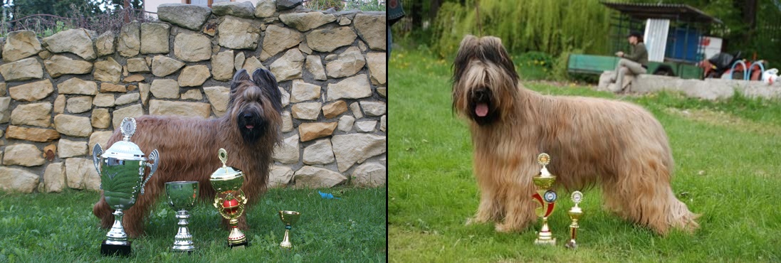 278538614 3063056760609936 6227087097979630578 n horz