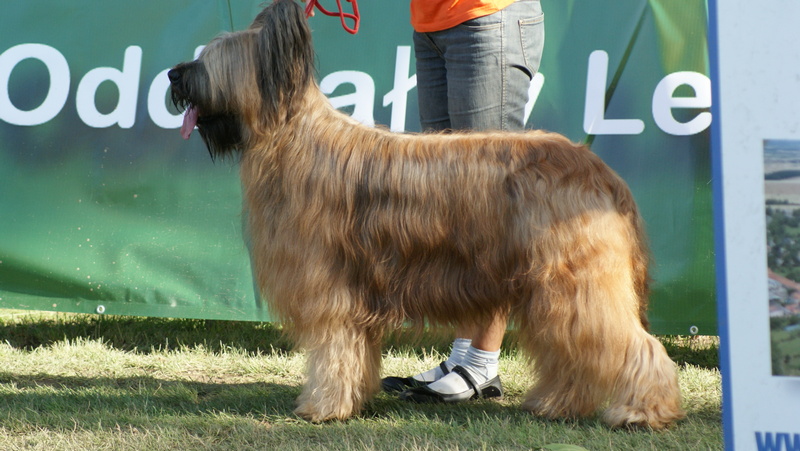 278593562 244032584563943 2299542457783422783 n