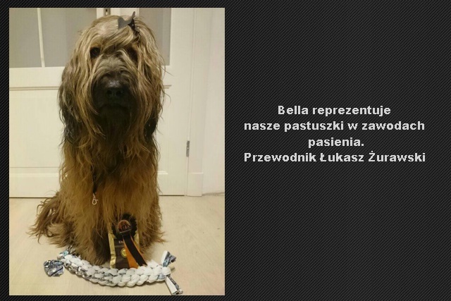 bellaa