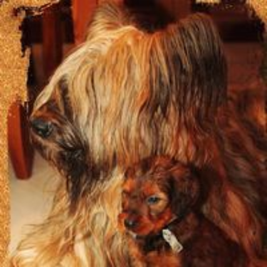 capture 20220403 144628