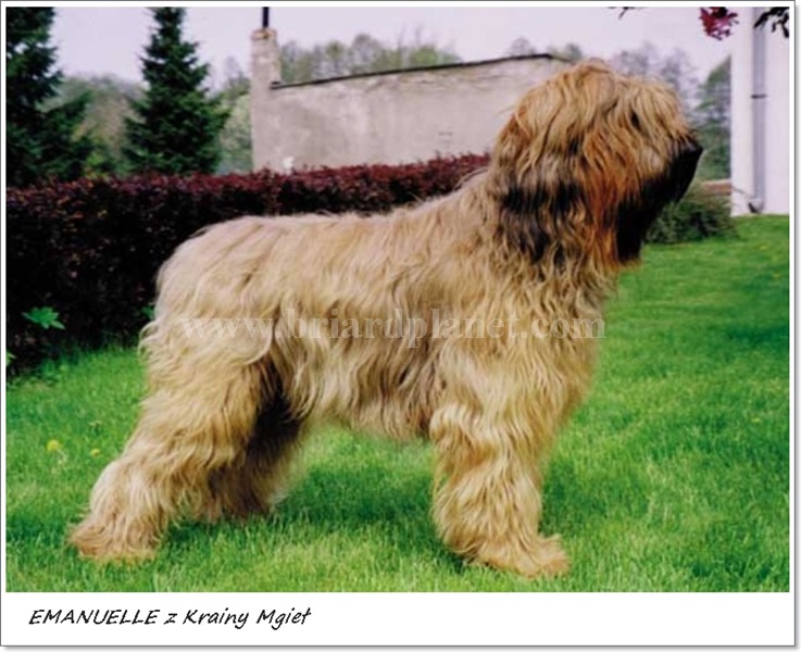 emanuellz krainymgieł