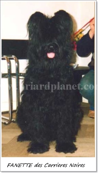 fanettedescarrieresnoires