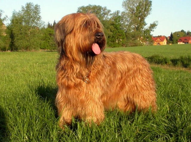 hayka2