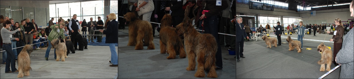 kato2008