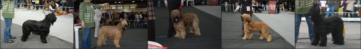 kato2008a