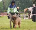 nbnbDSC_0209