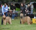 nbnbDSC_0741