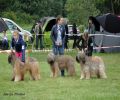 nbnbDSC_0743