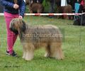 nbnbDSC_0758