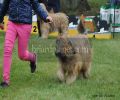 nbnbDSC_0784