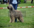 nbnbDSC_0792