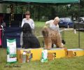 nbnbDSC_1058