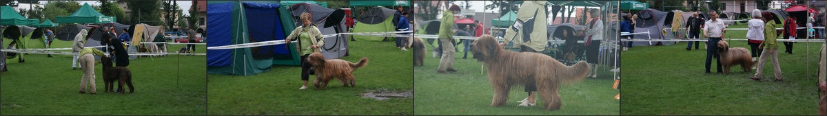 legnica2010