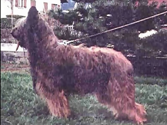 lukas