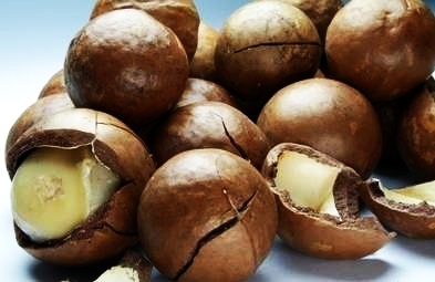 makadamia