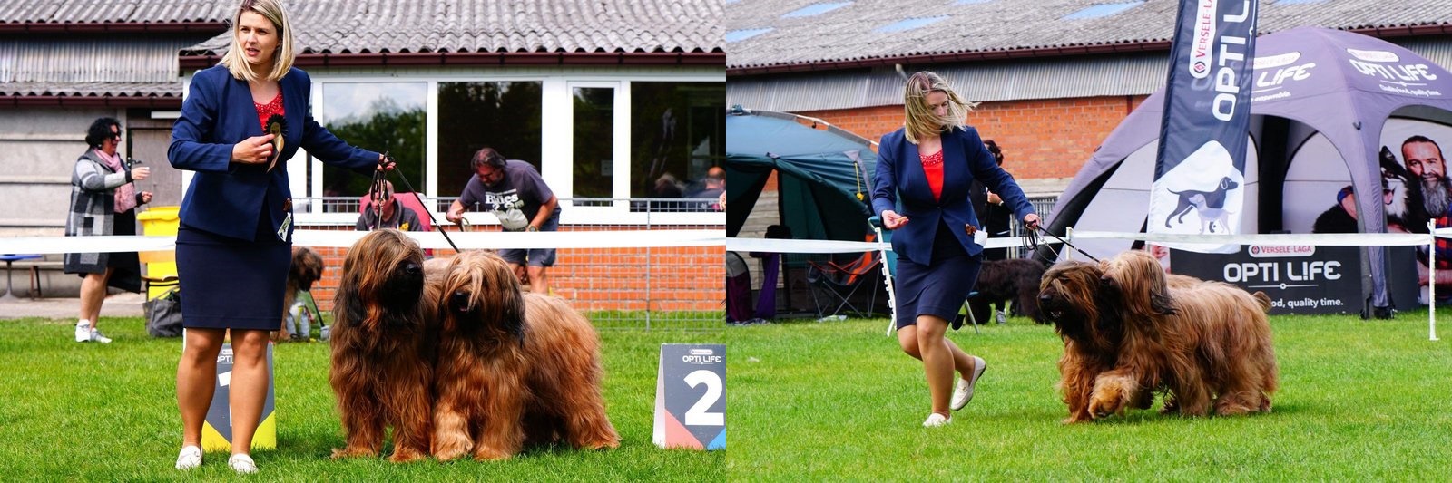 najparadilorini2 horz