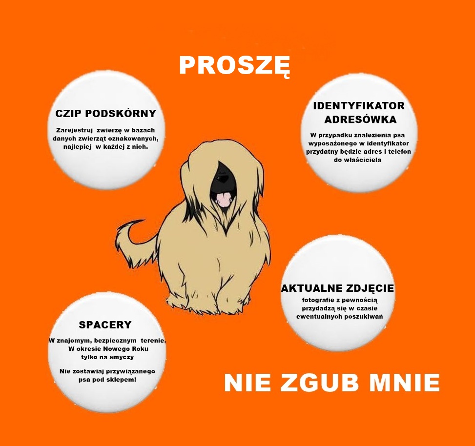 znakowanie psów