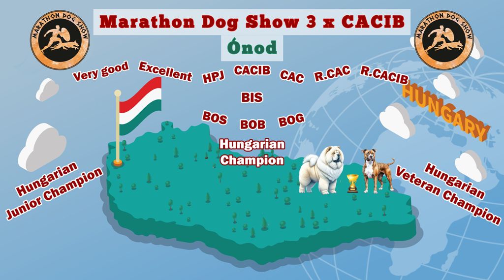 onod cacib kiemelt angol1