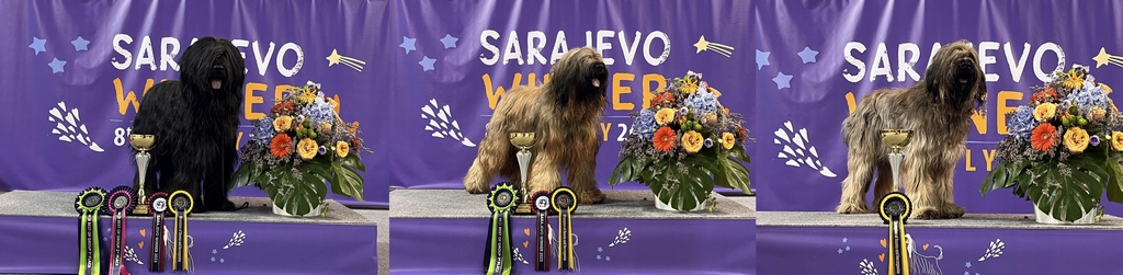 sarajevo2023