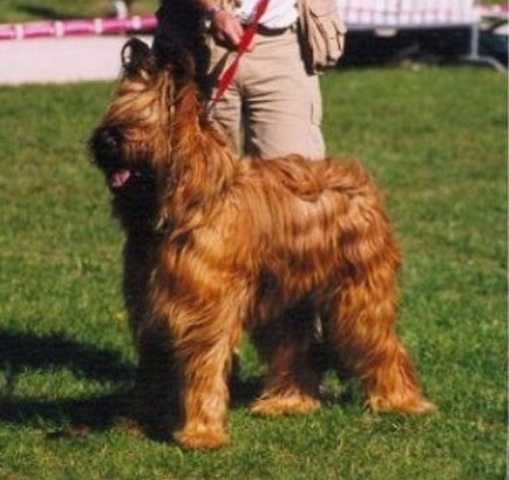 scott2