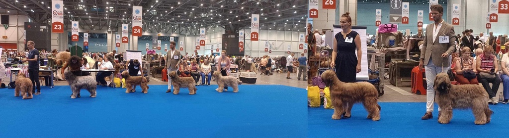 sviatovaklasaotvsuki