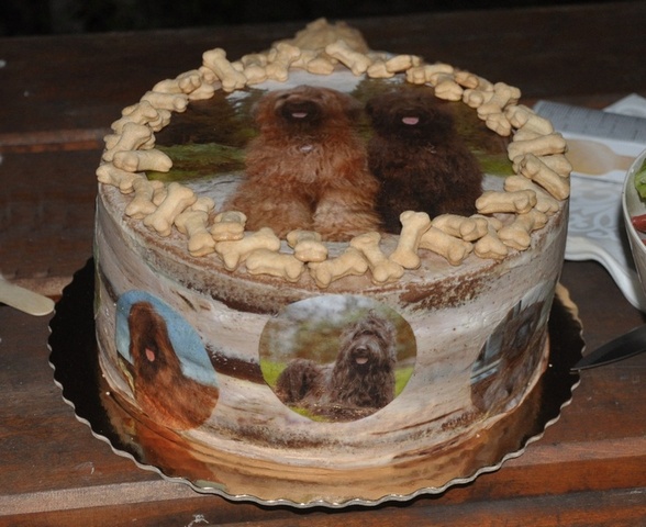 tort