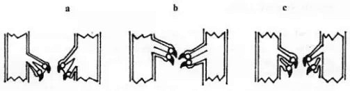 xostrogi prawidlowe.jpg.pagespeed.ic.MySwCHf72H