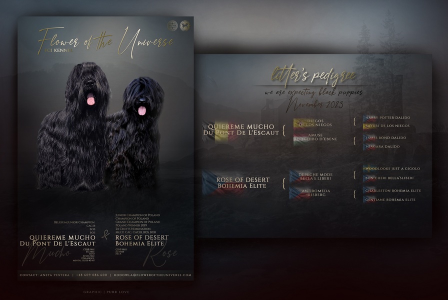 zapowiedzjpgrodowod1poprnafbb