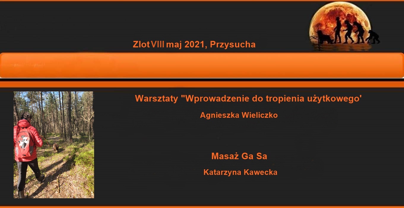 zlotVIII