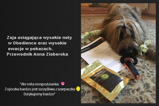 zoja